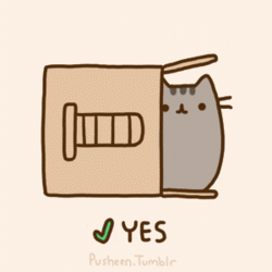 chat-carton-maison