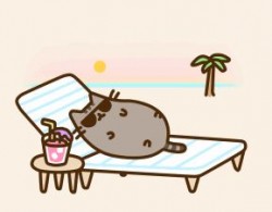 chat-vacances-sieste