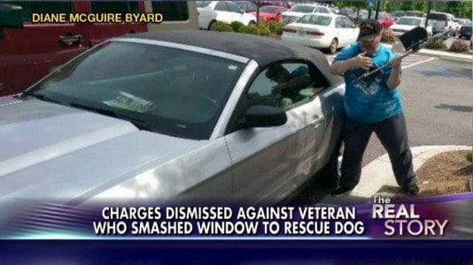 veteran-sauve-chien-voiture-chaleur
