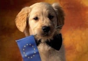 voyager-union-europenne-chien