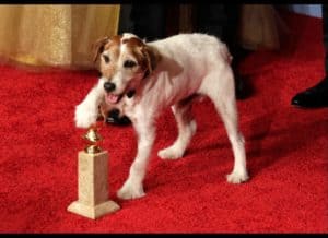 Uggie