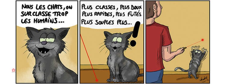 Interview Avec Nawak Lauteur Du Journal Intime De Siri