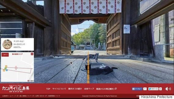 cat-street-view-02