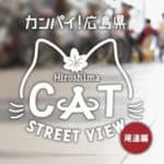 cat-street-view-05