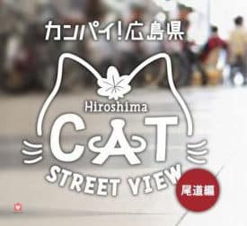 cat-street-view-05