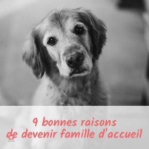 Devenir-famille-d-accueil