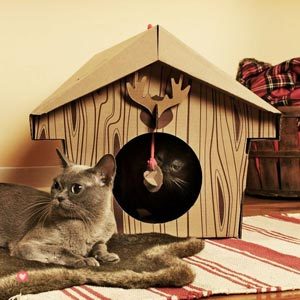 chalet-carton-chat-idee-cadeau-noel