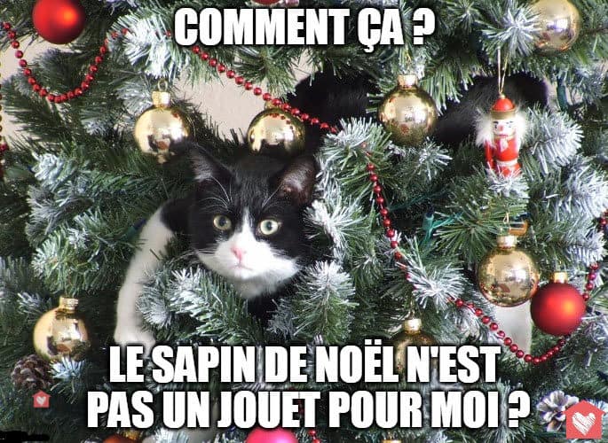 chat-sapin-noel-jouet