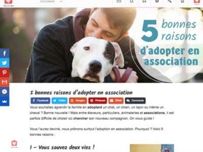 blog-take-me-home blog-take-me-home