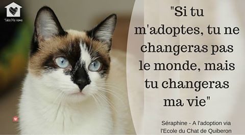 citations-animaux-02