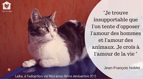 citations-animaux-06