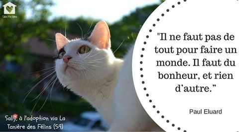 citations-animaux-08