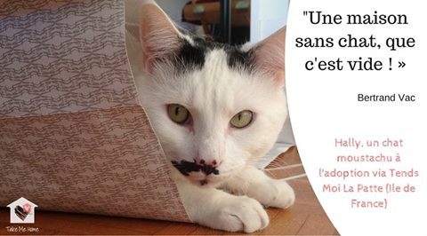 citations-animaux-0110