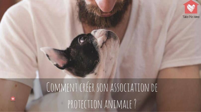 comment créer son association de protection animale