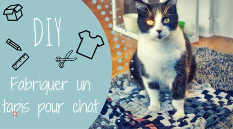 Fabriquer Un Tapis Pour Chat Le Tuto Diy Rapide Et Pas Cher