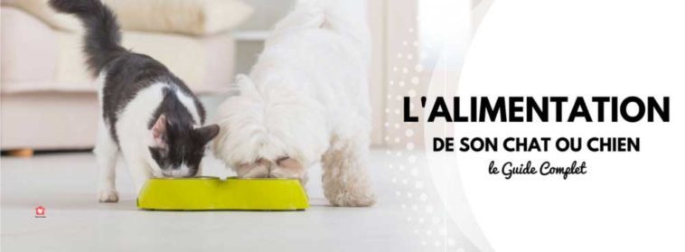 guide alimentation chat et chien