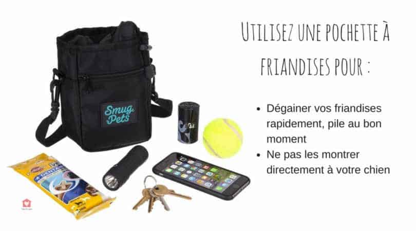 friandise chien dressage pochette