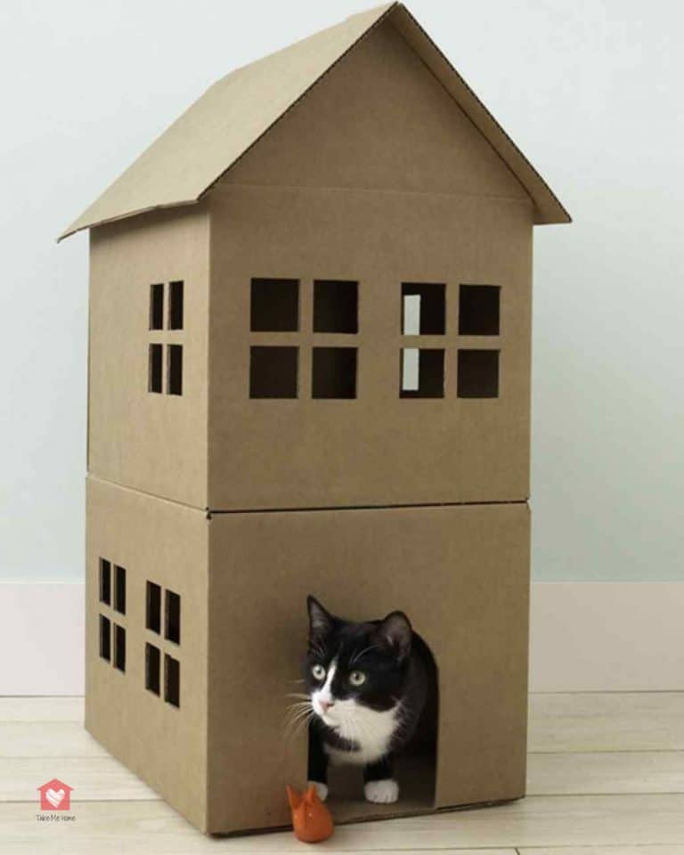 Fabriquer un arbre à chat 6 idées faciles et pas chères — free download