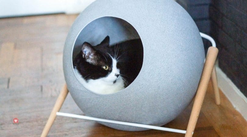 sieste couchage chat avis meyou design