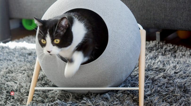 test couchette chat meyou avis