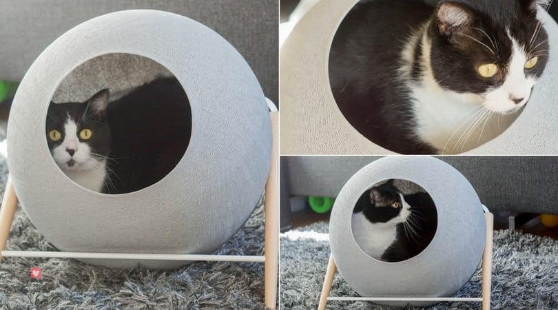 test couchette design chat meyou